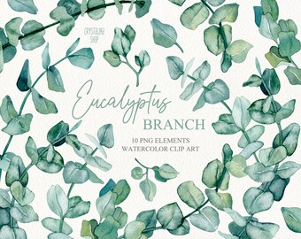 May include: Watercolor clipart of eucalyptus branches with green leaves. The image includes the text "Eucalyptus Branch" and "10 PNG Elements Watercolor Clip Art".