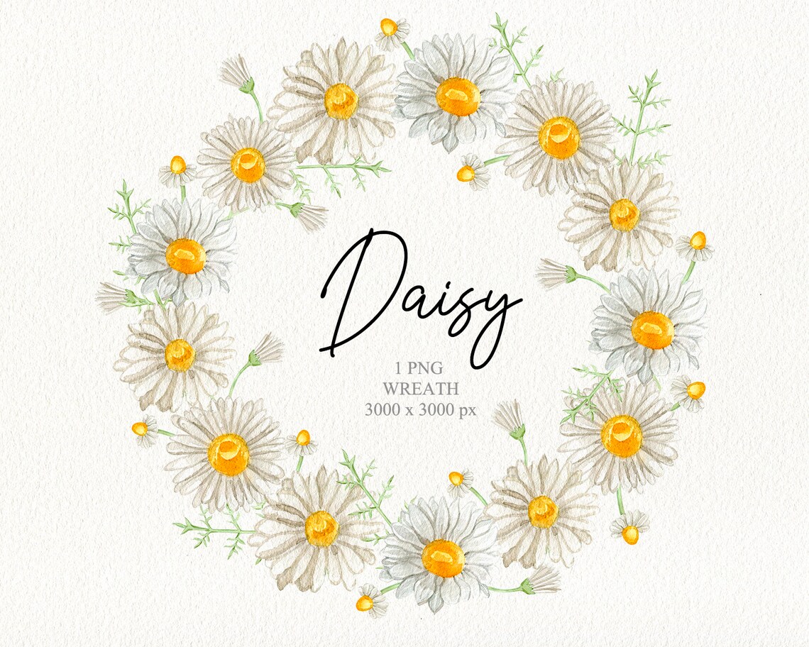 Watercolor Daisy Wreath Clipart. Chamomile Spring Floral Frame Clipart ...