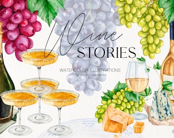 Watercolor Wine and cheese clipart collection Food illustration clipart Sparkling wine with fruits and cheese Restaurant drink menu DIY logo