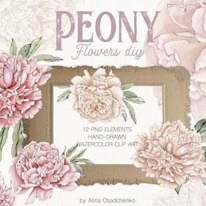 Aquarel romantische pioenroos bloem DIY clipart Zachte bloemenillustraties Pastel roze pioenrozen bloemen png Bruiloft DIY uitnodiging clipart