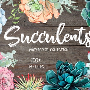 Watercolor Succulents Flower Clipart. Wedding Design Succulent Digital ...