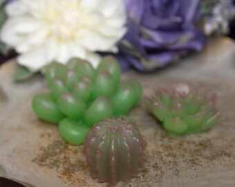 Succulent Mini Soaps: Package of three different succulent types