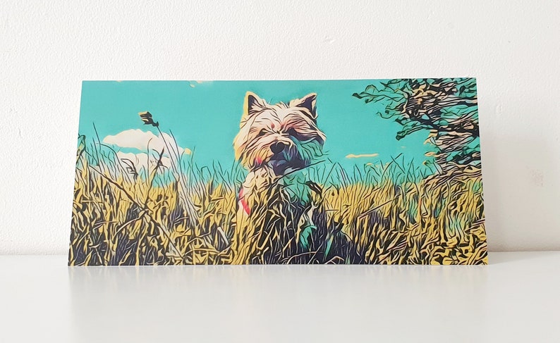 May include: A white West Highland White Terrier dog stands in a field of tall yellow grass with a blue sky in the background.