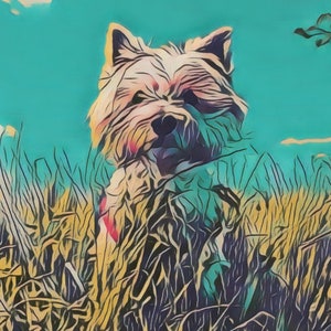 May include: A white West Highland White Terrier dog stands in a field of tall grass. The dog is looking directly at the camera with a serious expression. The background is a blue sky with white clouds.