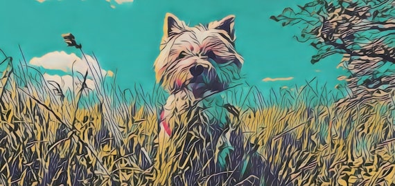 West Highland Terrier Dog Greetings Card: Northumberland Artwork