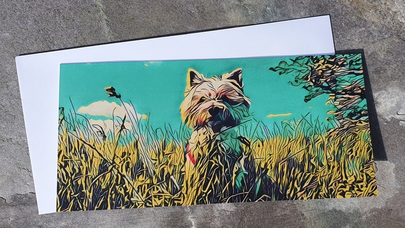 May include: A white dog with a fluffy coat stands in a field of tall grass. The grass is a mix of yellow and green, and the sky is a bright blue. The dog is looking directly at the camera.
