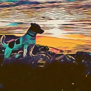 Jack Russell Dog Greetings Card: Northumberland Dog Artwork
