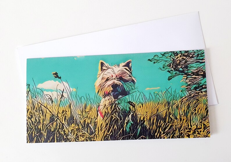 May include: A white dog with a fluffy coat stands in a field of tall grass. The dog is looking directly at the camera. The background is a bright blue sky with a few white clouds.
