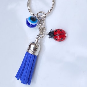 May include: A blue tassel keychain with a silver charm, a blue evil eye bead, and a red ladybug charm.