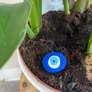 Puede incluir: Una piedra pintada azul, de forma ovalada, con un diseño de ojo blanco y azul claro, colocada en la tierra de una planta en maceta. La planta tiene hojas verdes grandes y tallos verdes gruesos. La maceta es blanca con un borde rojo-naranja.