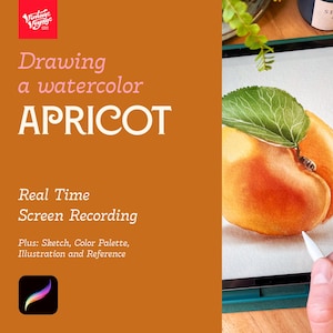 Tutorial • Drawing a Watercolor Apricot in Procreate