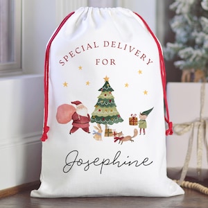 May include: White Christmas gift bag with red drawstring closure. The bag features a festive illustration of Santa Claus, a Christmas tree, and an elf, with the text "SPECIAL DELIVERY FOR Josephine".