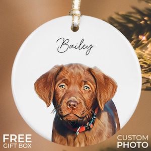 Personalized Pet Ornament, Custom Dog Christmas Ornament, Pet Ornament Using Photo, Cat Christmas Photo Ornament, Pet Portrait Name Gift