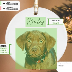 Personalized Pet Ornament, Custom Dog Christmas Ornament, Pet Ornament ...