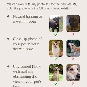 May include: A beige graphic with the text "Photo Guidelines" at the top. The text describes photo requirements for best results, including natural lighting, close-up shots, and uncropped photos. Examples of pet photos are shown.
