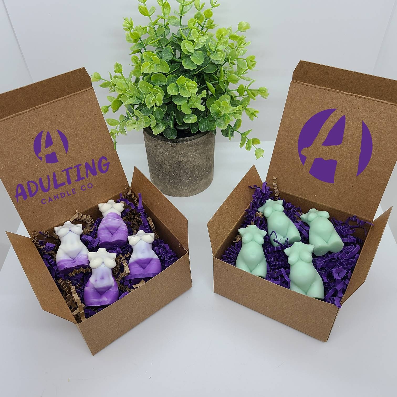 Goddess and God Body Wax Melts Adult Naked Torso 4 Pack - Etsy
