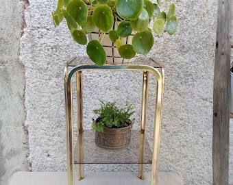 May include: A gold metal plant stand with two glass shelves. A green plant in a white pot sits on the top shelf. A smaller green plant in a brass pot sits on the lower shelf.