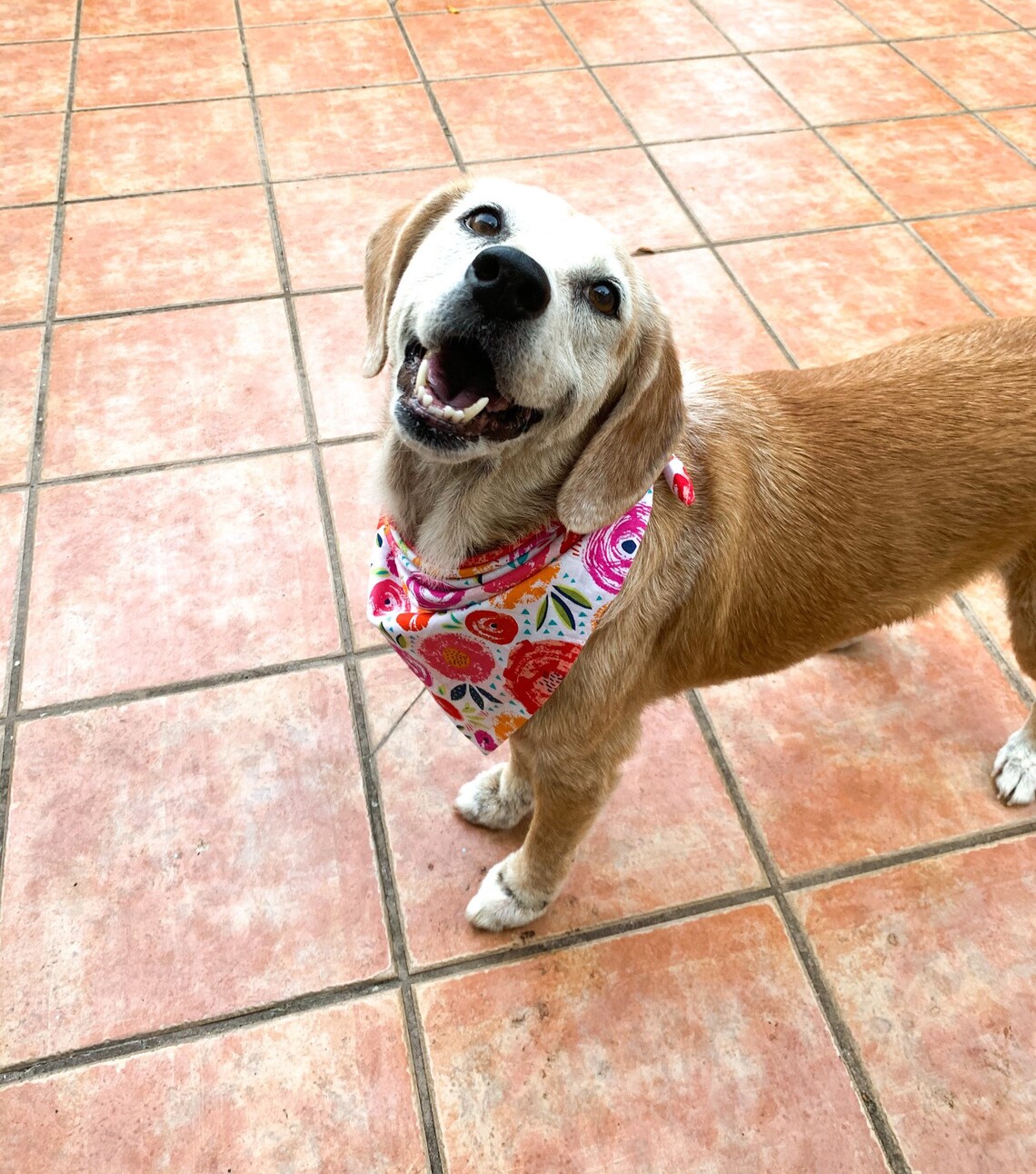 Bandana pour chiens Bandana de chien floral bandana de Etsy