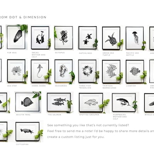 Puede incluir: Colecci&oacute;n de ilustraciones en blanco y negro enmarcadas de vida marina, incluyendo una nutria marina, un pulpo y un tibur&oacute;n ballena. El texto "MORE FROM DOT & DIMENSION" est&aacute; en la parte superior, con una llamada a la acci&oacute;n en la parte inferior.