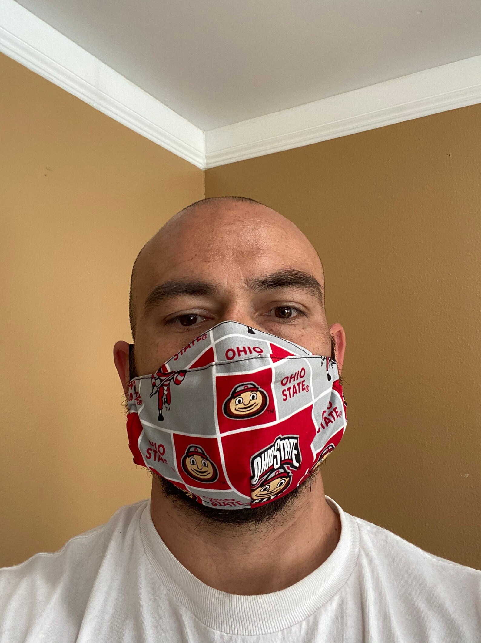 Ohio State Buckeyes mask Ohio State university face mask Etsy