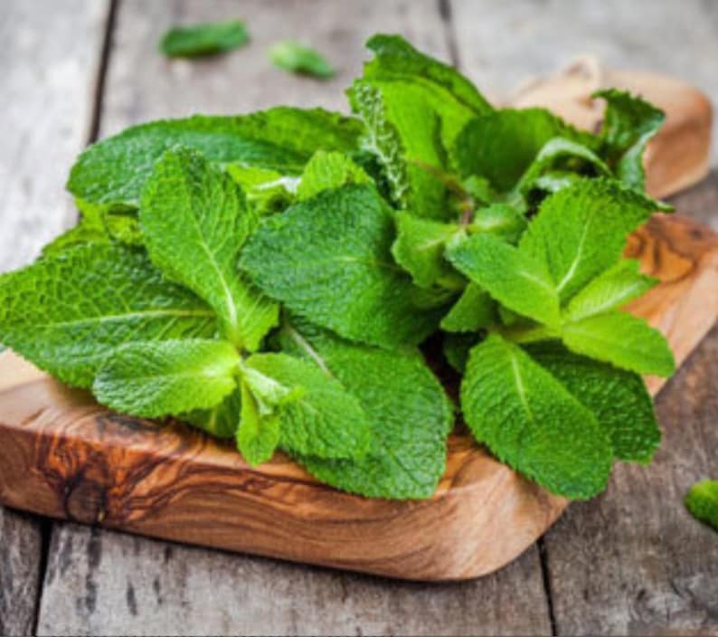 Strawberry mint herb seeds 30 seeds per pack NON GMO seeds Etsy