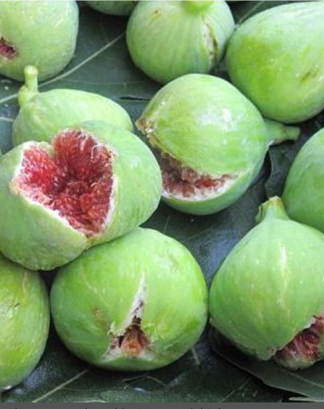 Green fig fruit seeds tasty fruit Etsy
