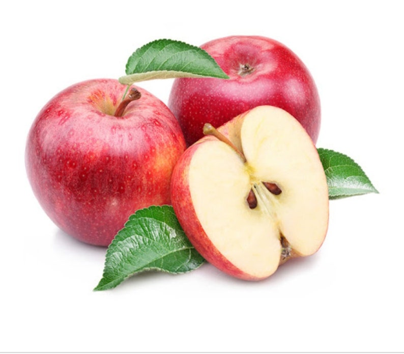 Pink lady apple fruit seeds british apple seeds Etsy