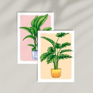 Zwei Hauspflanzen Illustration / Postkarte / Grußkarte / Geschenkkarte / Kunstdruck / mit Umschlag