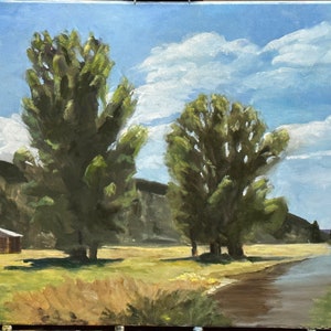 Majestic  Cottonwoods - 16x20 oil painting