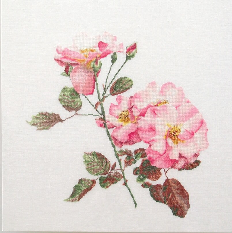Thea Gouverneur / 412 Rosa Leersum / Cross Stitch Kit - Etsy
