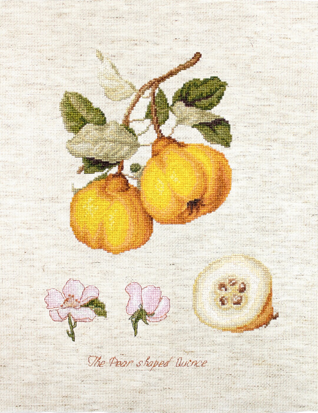Luca-s / BA22430 the Pear Shaped Quince / Cross Stitch Kit - Etsy