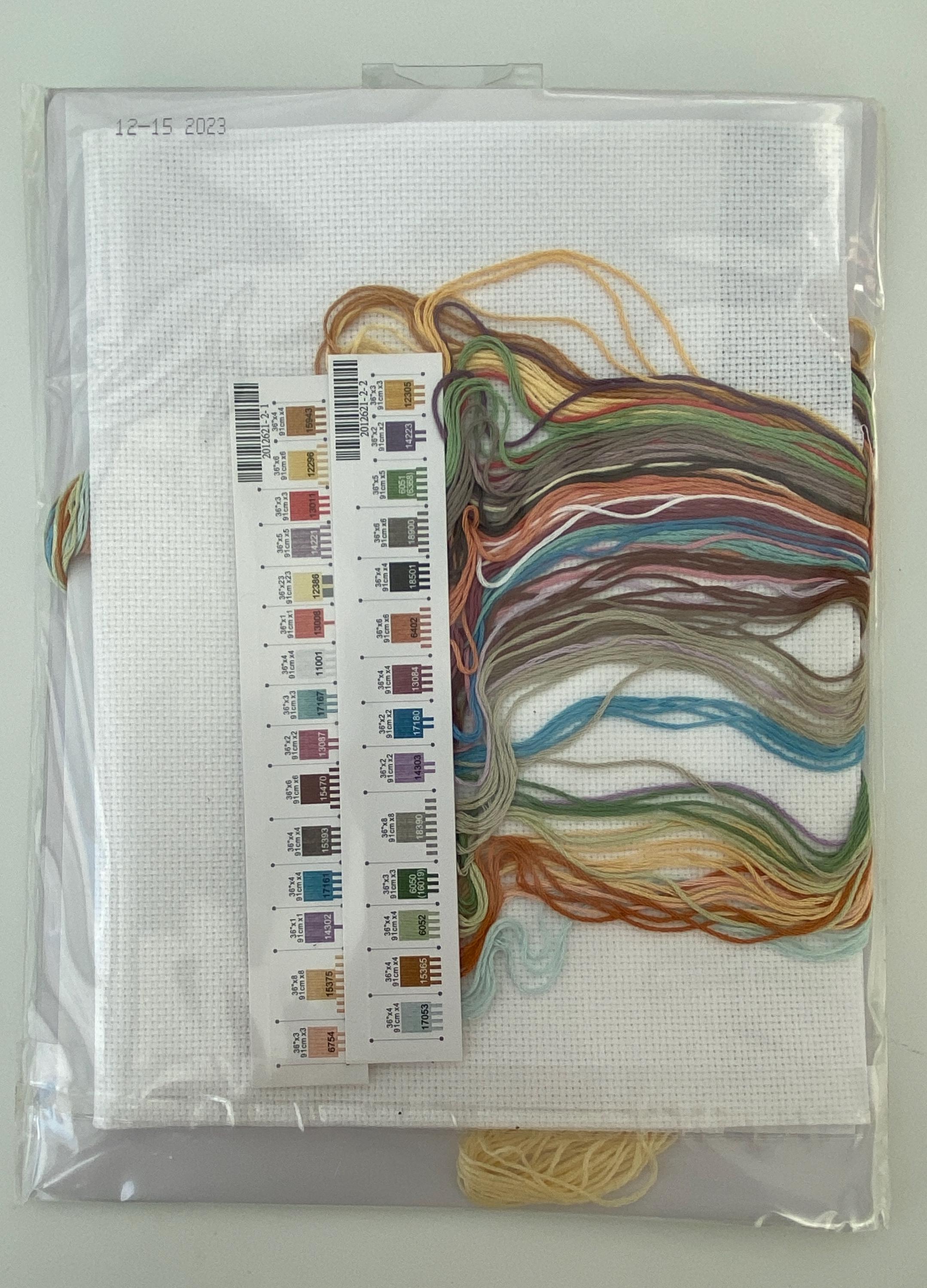 Kit Point De Croix 'Simple Trésors' - 14 X 11 Pouces, Toile Aida 14 Fils, Fil Coton Inclus