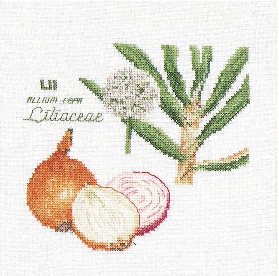 Thea Gouverneur / 3042 Onion / Cross Stitch Kit - Etsy