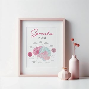 Könnte beinhalten: Eine rosa und weiße Illustration des menschlichen Gehirns mit Beschriftungen in Deutsch, die die verschiedenen am Sprachprozess beteiligten Hirnareale zeigen. Der Titel der Illustration lautet "Sprache im Gehirn".