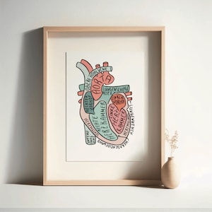 May include: Anatomy-themed art print of a human heart, labeled with German anatomical terms. The heart illustration is in shades of pink, blue, and red, set against a white background, framed in a light wood frame. A small vase with dried flowers sits on a white shelf.