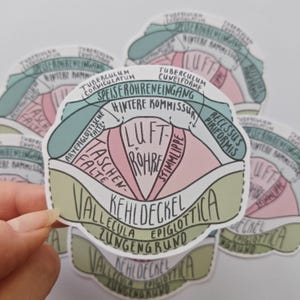 Könnte beinhalten: Ein gestanzter Aufkleber mit einer detaillierten anatomischen Darstellung des menschlichen Kehlkopfes. Die Illustration verwendet Pastelltöne in Rosa, Blau und Grün, um Teile wie Luftröhre, Kehldeckel und Stimmlippe in schwarzer Schrift zu beschriften.