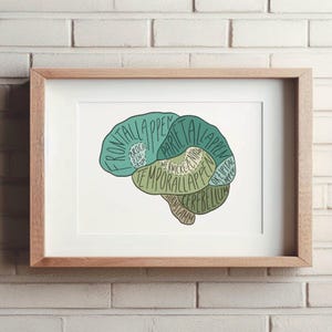 May include: A framed print of a stylized brain diagram. The brain is segmented into colored sections, including the frontal, parietal, temporal, and occipital lobes, with labels in a handwritten font. The frame is made of light-colored wood.