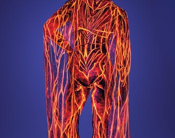 UV Reflective Mesh Wings, Festival Wings Man, Male Neon Mesh Wings, Performance Wings Set, Rave Costume Men, Festival Wings Costume For Man