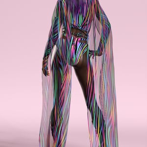 Colorful Pride Wings, Pride Wings, Festival Wings, Rainbow Pride Wings, LGBTQ Wings, Pride Month Wings, Inspired Wings, Bisexual Pride Wings
