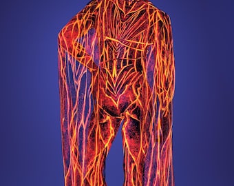 UV Reflective Mesh Wings, Festival Wings Man, Male Neon Mesh Wings, Performance Wings Set, Rave Costume Men, Festival Wings Costume For Man