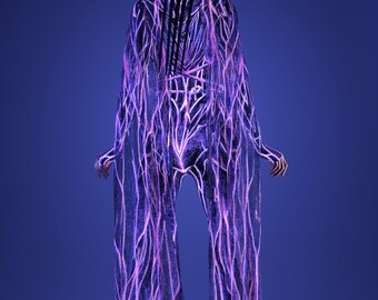 Rave Wings Woman, Halloween Set Woman, Halloween Mesh Wings, Sexy Wings Costume, Halloween Wings Woman, Halloween Costume, Mesh Wings Women