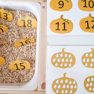 Pumpkin Patch Number Match Téléchargement numérique, Activité d&#39;automne imprimable, Activité d&#39;Halloween, Homeschool Preschool, Numbers 1-20, Number Match