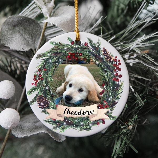 Custom Pet Ornament Etsy
