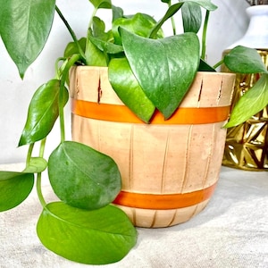 May include: A potted plant with vibrant green leaves cascading over the sides of a decorative planter. The planter is designed to resemble a wooden barrel, featuring vertical lines and two orange bands. The overall aesthetic is natural and rustic.