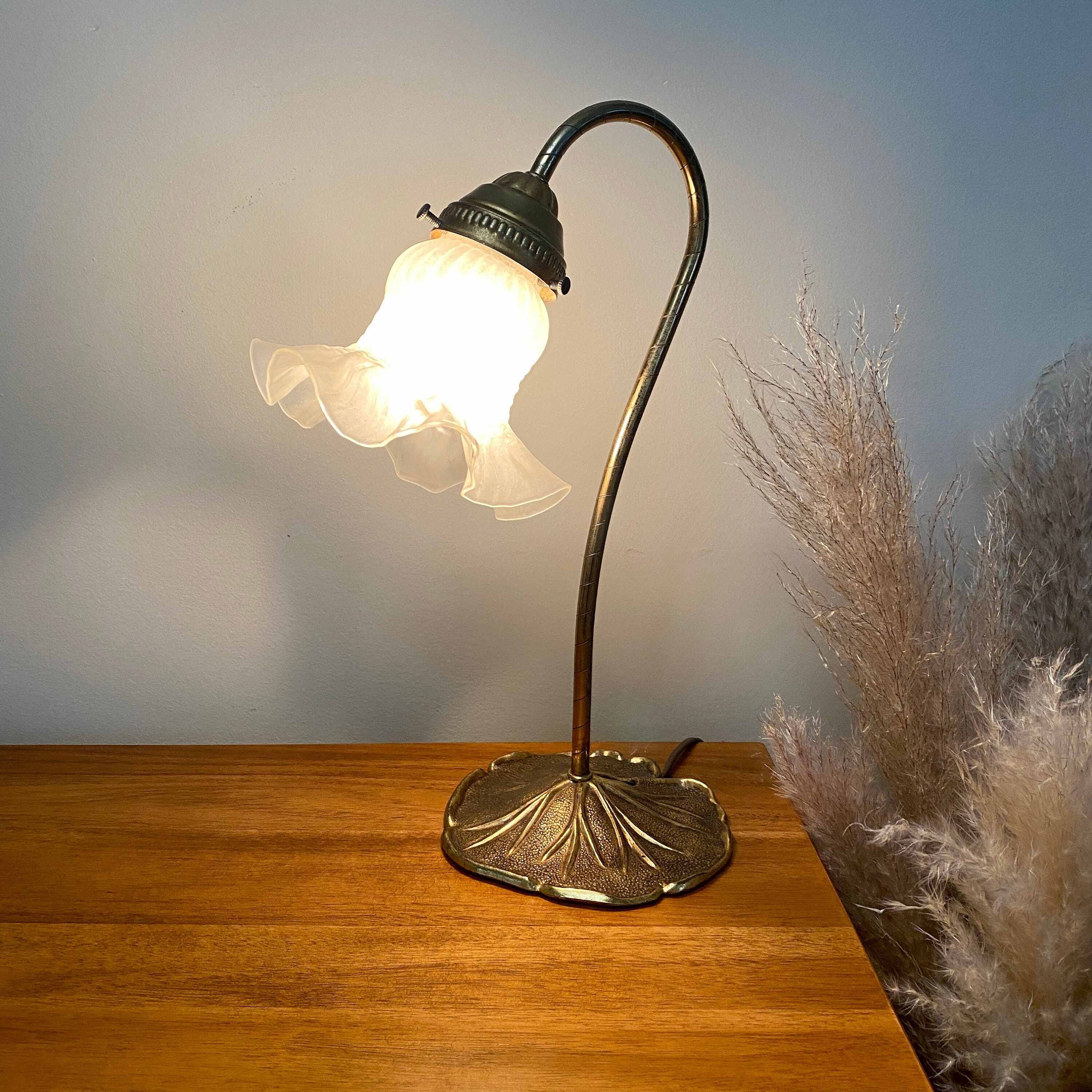Goose Neck LED Table Lamp Lily Flower Glass Lampshade Bedroom Desk Light  Plug in