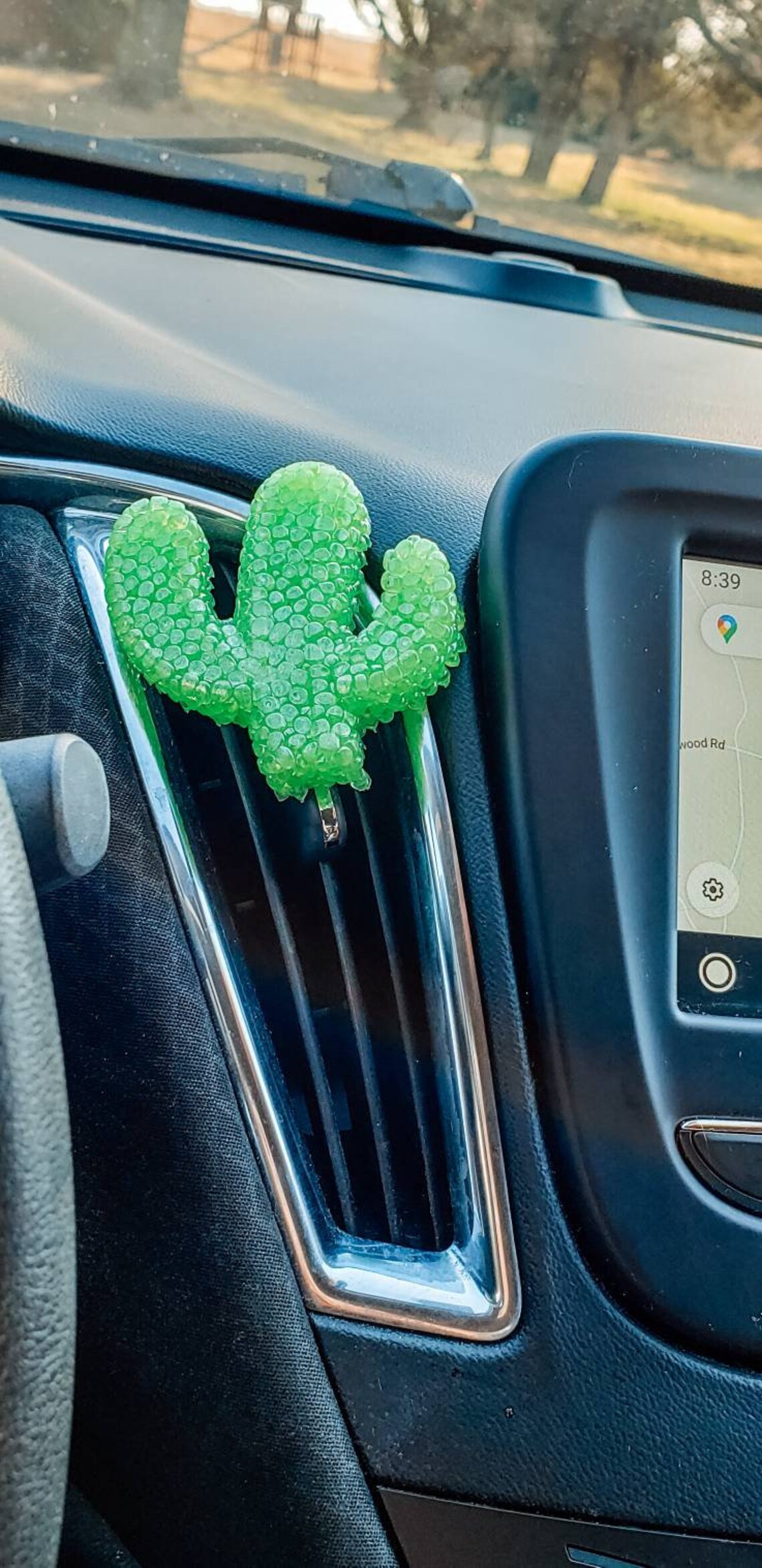 Cactus Vent Clip Car Freshie x1 Etsy