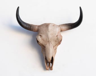 Real American Bison Buffalo Skull Western Yard Decor Art Craft Supplies ...