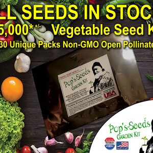 In Stock Now Free Shipping 15000 Heirloom Vegetable Seed Etsy