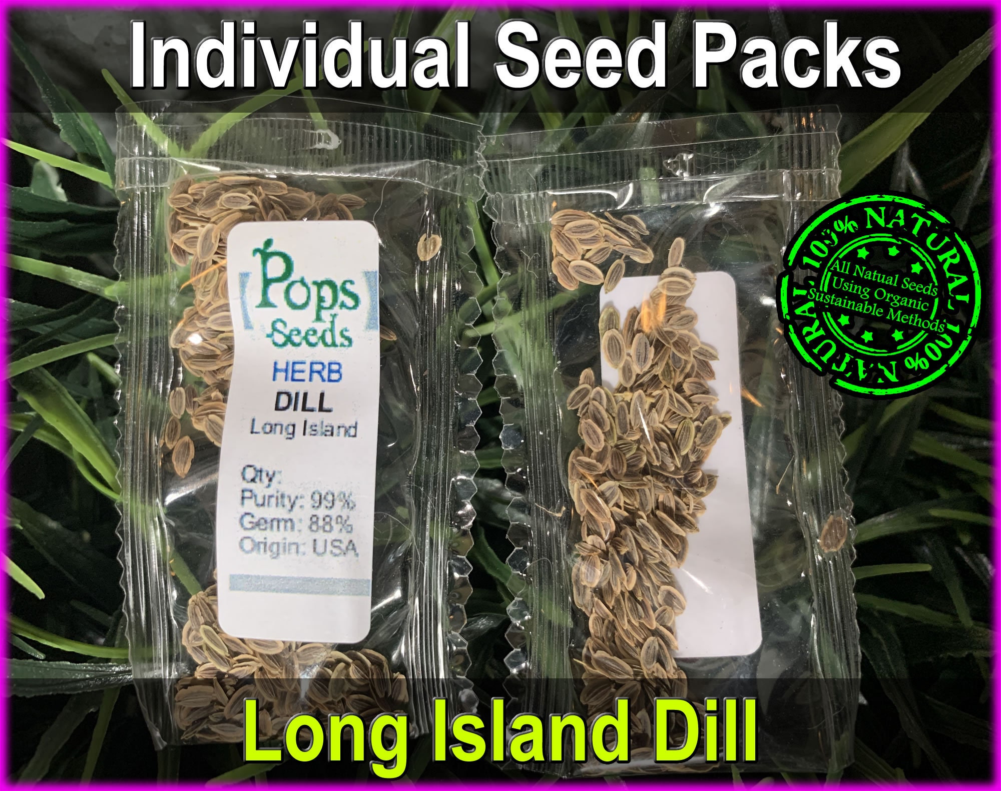 Dill Herb Seed Packs Organic Dill Seeds Non Gmo Heirloom Etsy