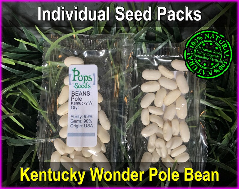Heirloom Kentucky Wonder Bean Vegetable Seed Packs Pole Type Etsy